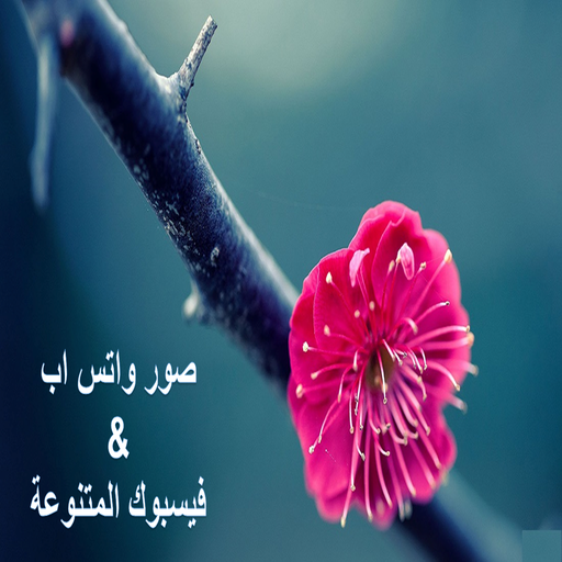 صور واتس اب (بدون نت) icon