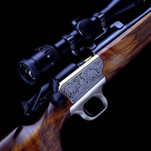 Firearms Guns Themes icon