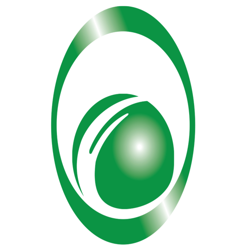 Champions Insurance icon