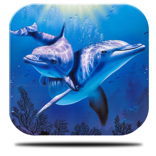 River Dolphin Live Wallpaper icon