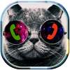 Cat Dialer Theme on 9Apps