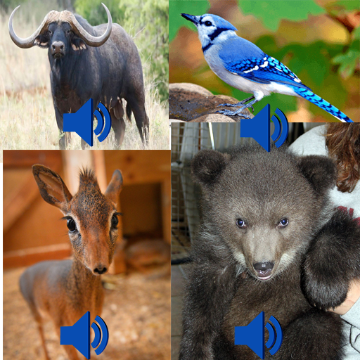 Animal Sound Play आइकन