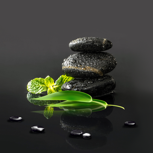 Garden Zen Live Wallpaper icon
