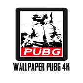 PUBG Wallpapers 4K on 9Apps