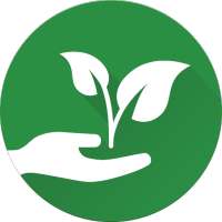 My Vegetable Garden GLEYCO