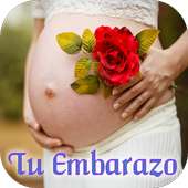 Tu Embarazo