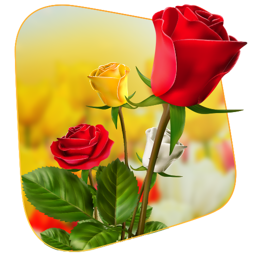 360 Flower live wallpaper 3D icon