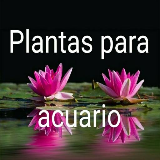 Plantas para acuario, icon