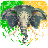 Elephant - Sex Tips icon