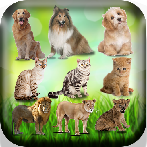 Femelle des animaux - Nom des animaux en français icon