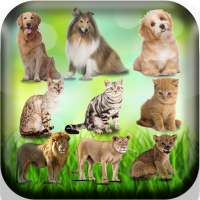 Femelle des animaux - Nom des animaux en français on 9Apps