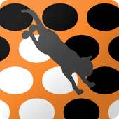 إحبس القطة - Catch Cat