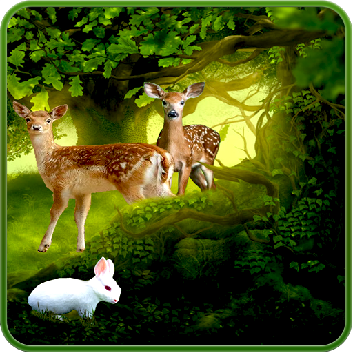 Forest Deer Live Wallpaper أيقونة