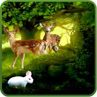 Forest Deer Live Wallpaper on 9Apps