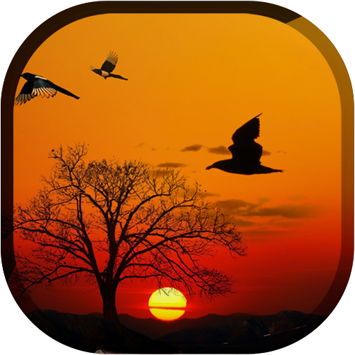 Sunset Live Wallpaper - Flying Bird LWP icon