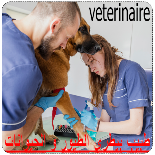 طبيب بيطري الطيور و الحيوانات icon