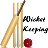 Cricket Coaching Wicketkeeping icon
