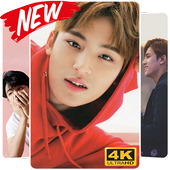 Mingyu Seventeen Wallpaper HD icon