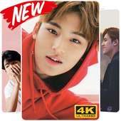 Mingyu Seventeen Wallpaper HD on 9Apps