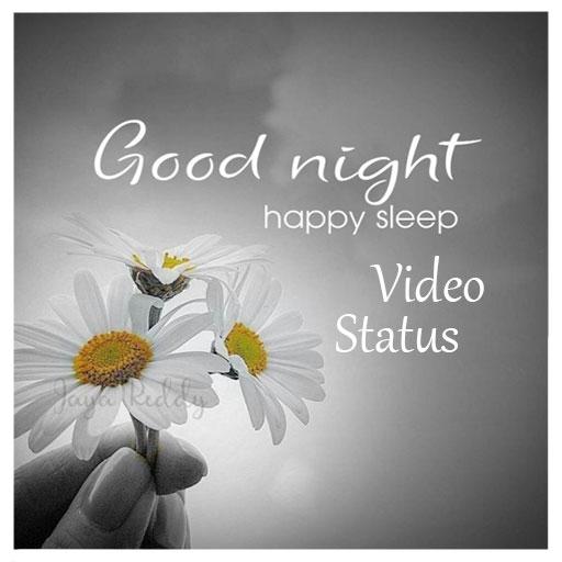 Good Night Video Status icon