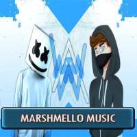 Marshmello So-ngs Offline