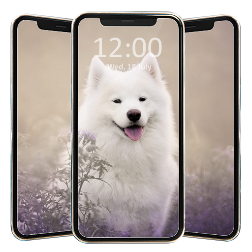 Cute Dog Wallpaper HD icon