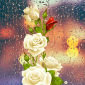 Rose Love Flower Icon आइकन