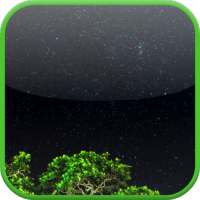 Night Sky 3D. Video Wallpaper.