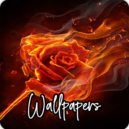 Fire Wallpapers HD icon