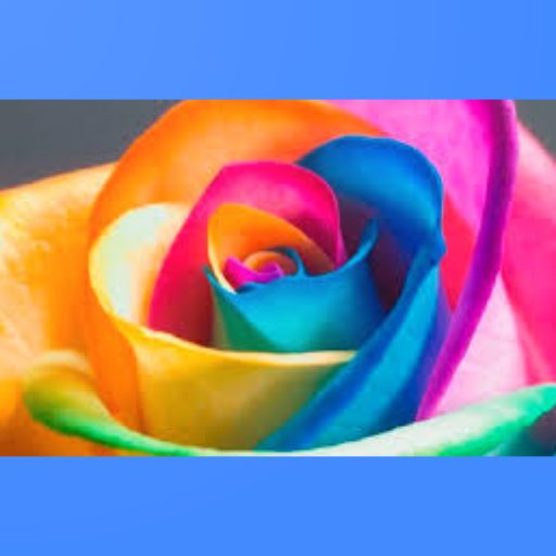 Gallery   Beautiful phone photos  and photo  album icon