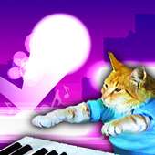 Keyboard Cat (Remix) EDM Beat Hopper