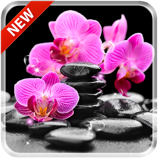 Orchids 3D Free Live Wallpaper icon