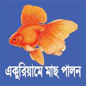 একুরিয়ামের মাছ on 9Apps