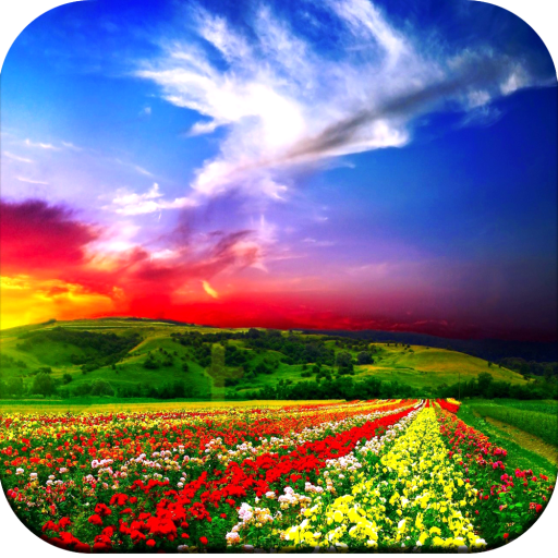 Beautiful Wallpaper HD icon