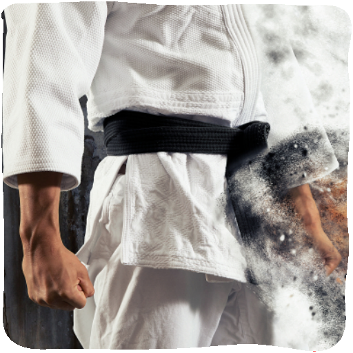 Karate Technique &amp; Moves Guide icon