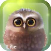 Little Owl Lite on 9Apps