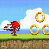 Knuckles Runner icon