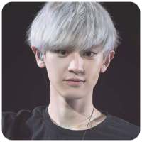 Chanyeol EXO KPOP Wallpaper on 9Apps