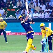 Live PSL 2018 Line icon