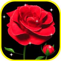 Rose Live 3D Wallpaper
