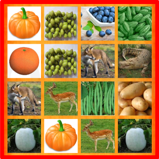 Test Your Memory icon