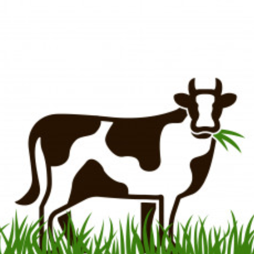 Feed Calculator (Kamran Dairy Farm) icon