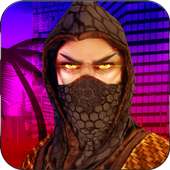 Ninja Warrior : Vendetta Crime