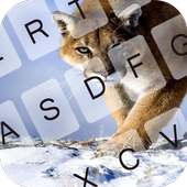 Cougar Keyboard