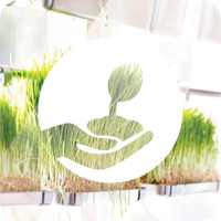 Gardening at Home: Herbs on 9Apps