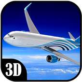 Passenger Airplane Flight Sim