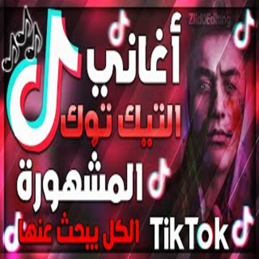 Popular Tik Tuk songs (without the net) icon