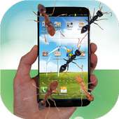 Ant run in phone funny joke