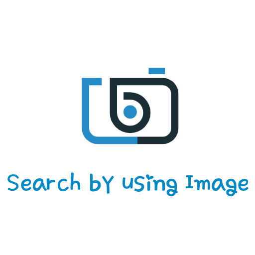 ikon Search By Using Image