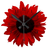 Rainbow Sunflower Clock Free icon